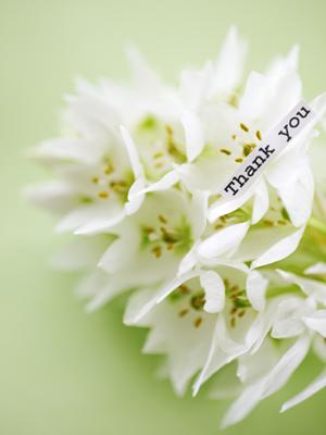 自信作を引き立てる額や表装を購入